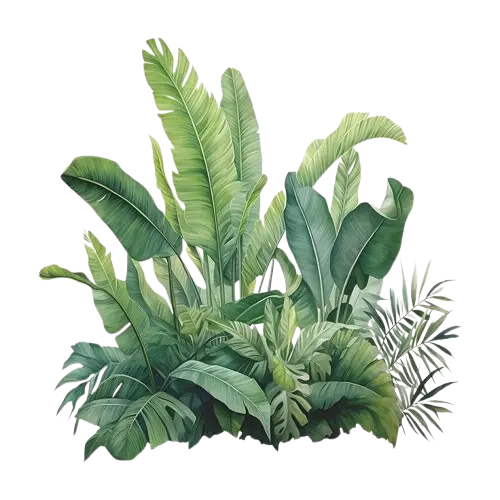 bunga