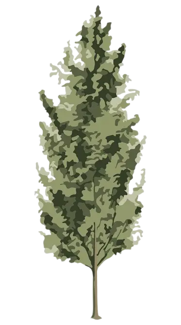 bunga