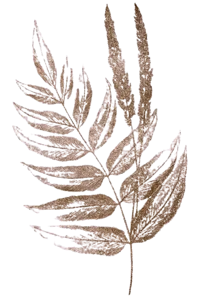 bunga