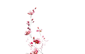bunga