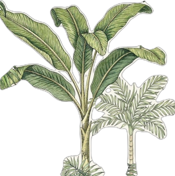 daun kanan