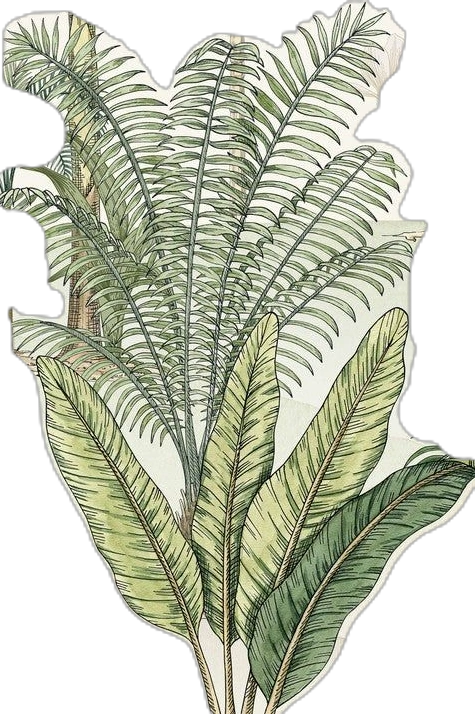 daun kanan 2