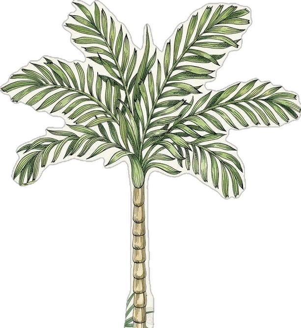 daun palem 2
