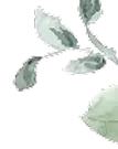 daun kanan