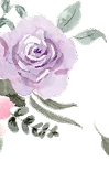 bunga blossom paling atas