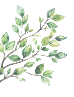 daun_kiri