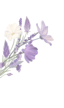 bunga lavender kiri 